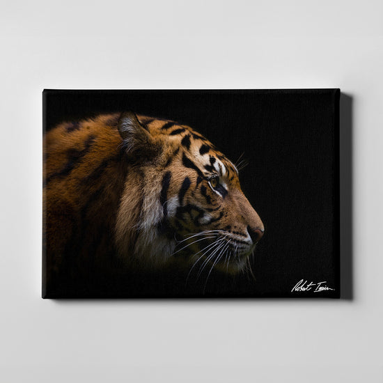 Sumatran Tiger 27GL Large Canvas