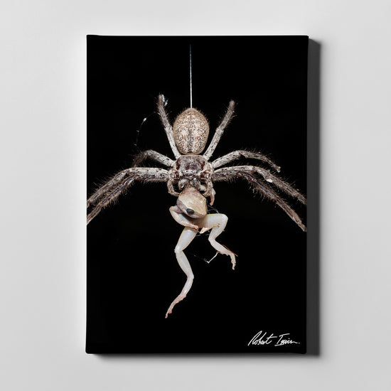 Huntsman - The Catch 15GP Large Canvas
