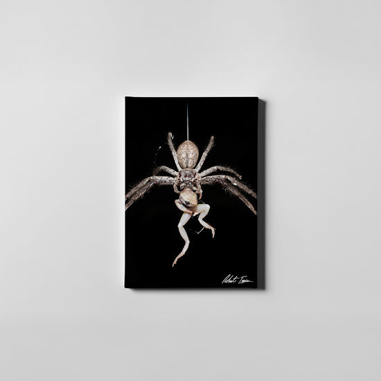 Huntsman - The Catch 15GP Small Canvas