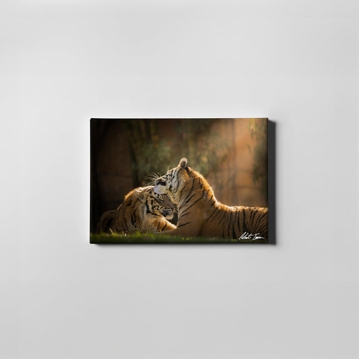 Robert Irwin Small Canvas - Tiger Love