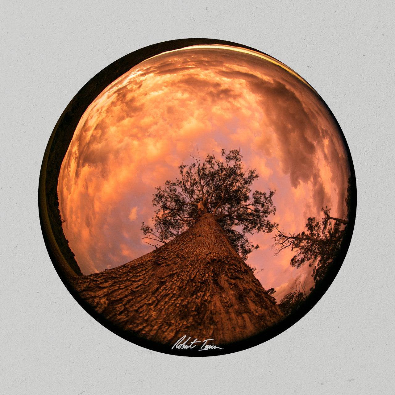 Robert Irwin Round Metal Print - Sunset Sky