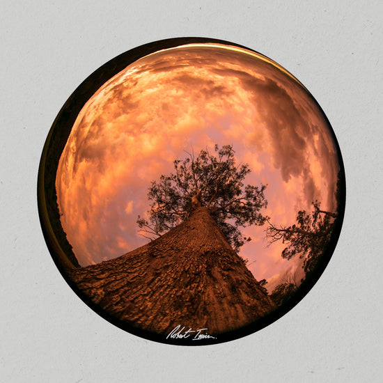 Robert Irwin Round Metal Print - Sunset Sky