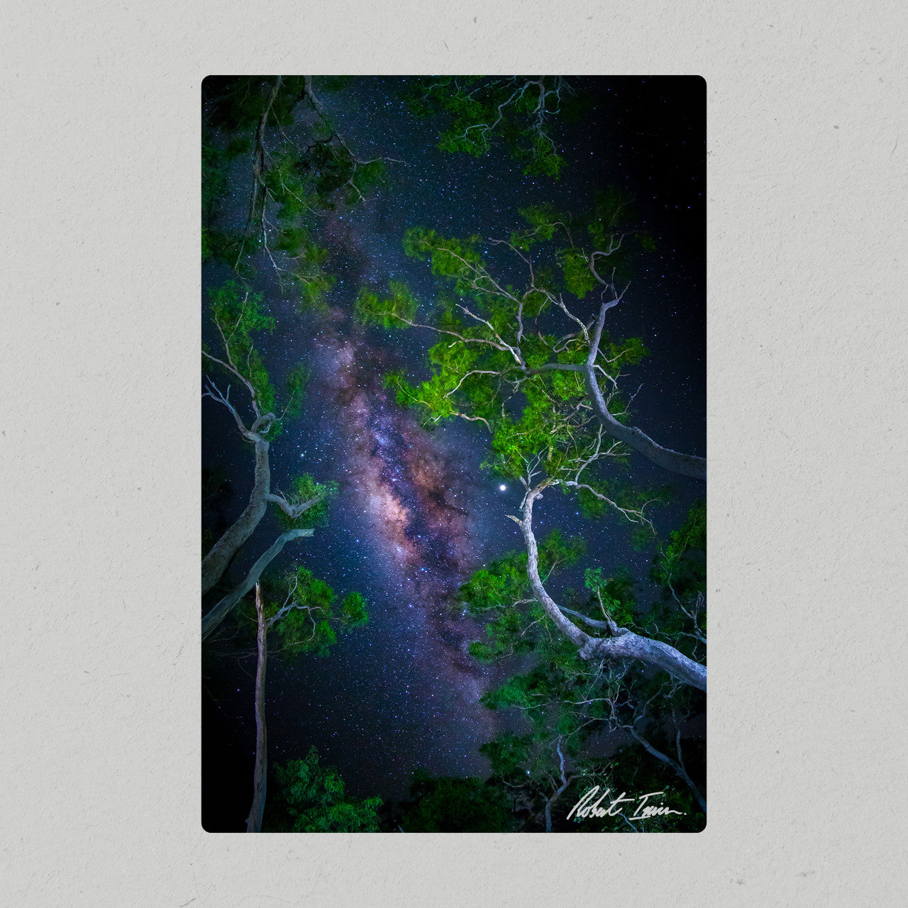 Robert Irwin Metal Print - Milky Way Tree