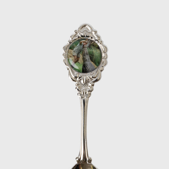 Steve and Crocodile Souvenir Spoon