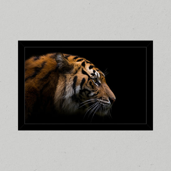 Sumatran Tiger Premium Matte Print