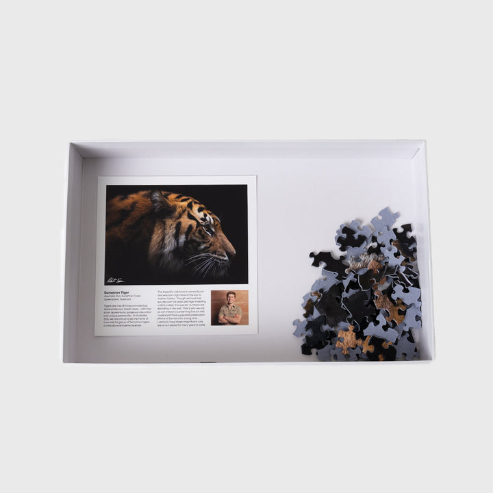 Tiger Large Box Puzzle 1000pcs