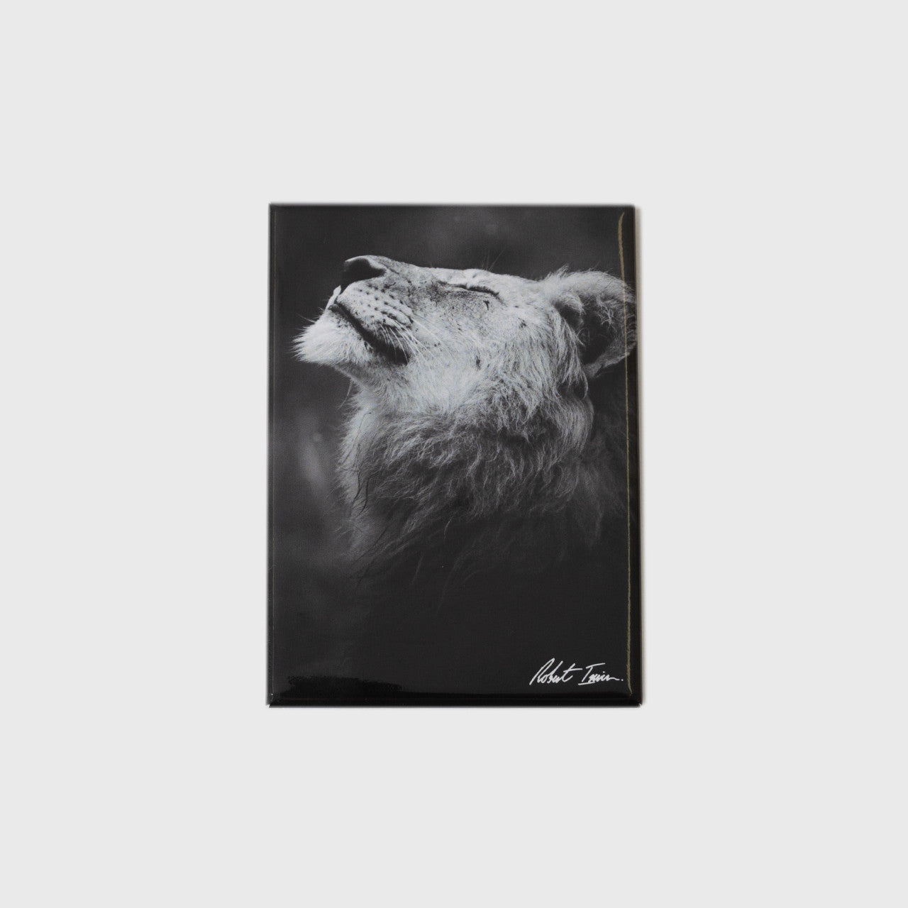 Happy Lion Large Portrait Magnet