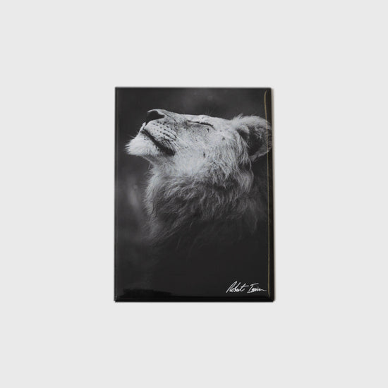 Happy Lion Large Portrait Magnet