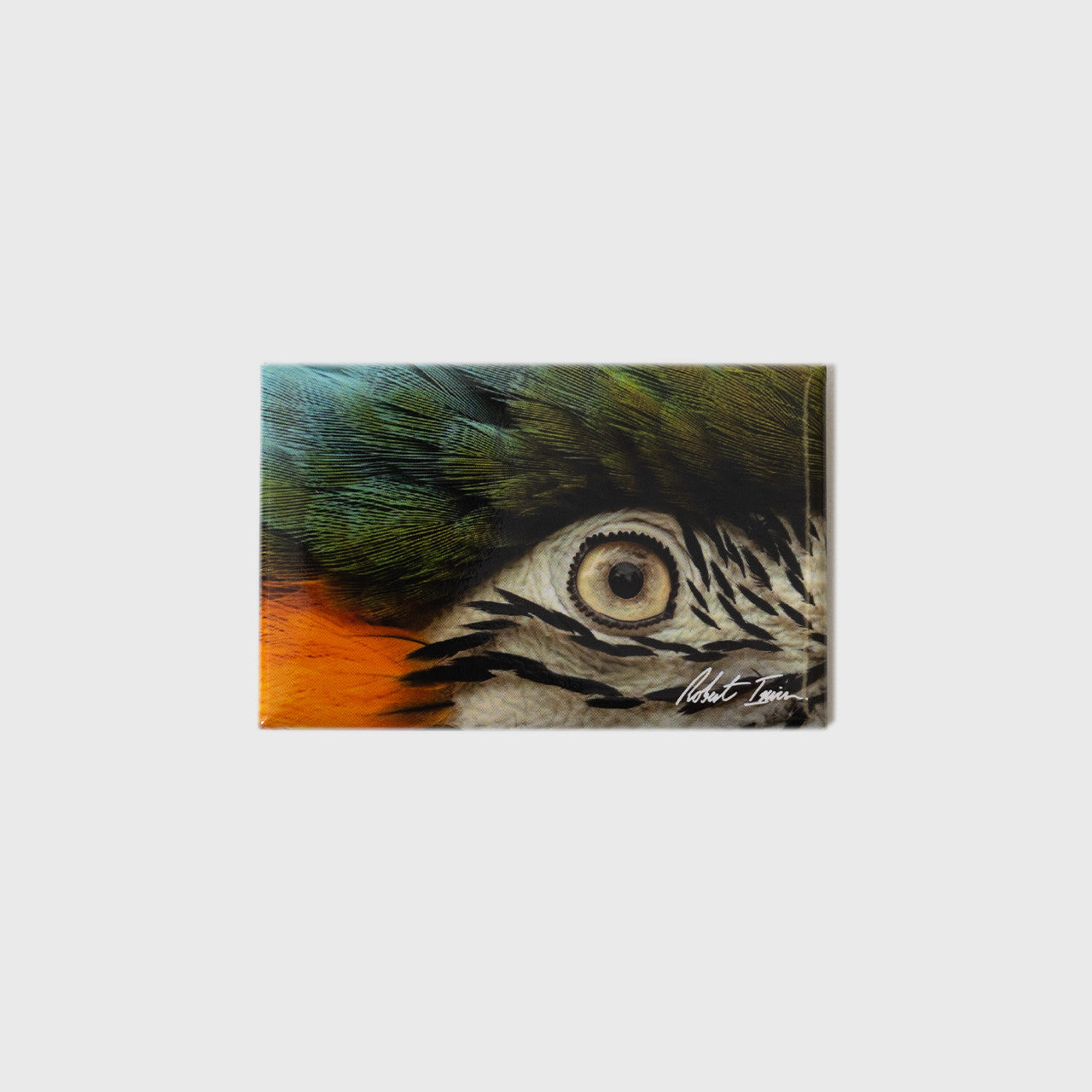 Macaw Eye Small Landscape Magnet