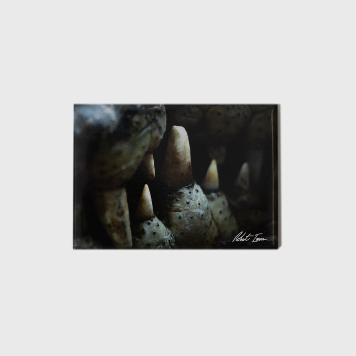 Toothy Grin Large Landscape Magnet
