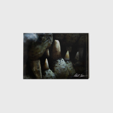 Toothy Grin Large Landscape Magnet