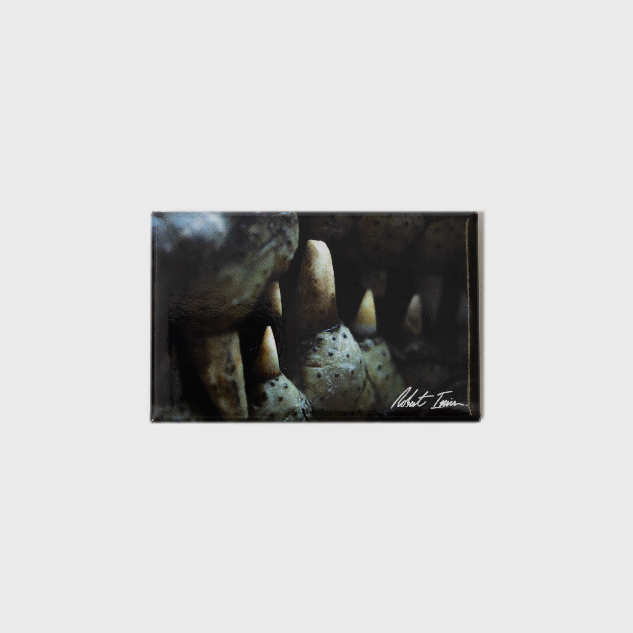 Toothy Grin Small Landscape Magnet
