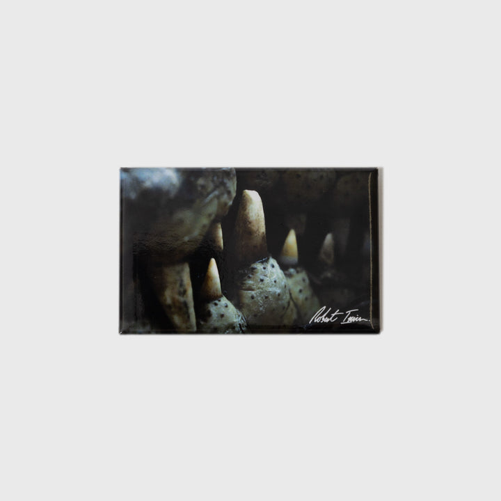 Toothy Grin Small Landscape Magnet
