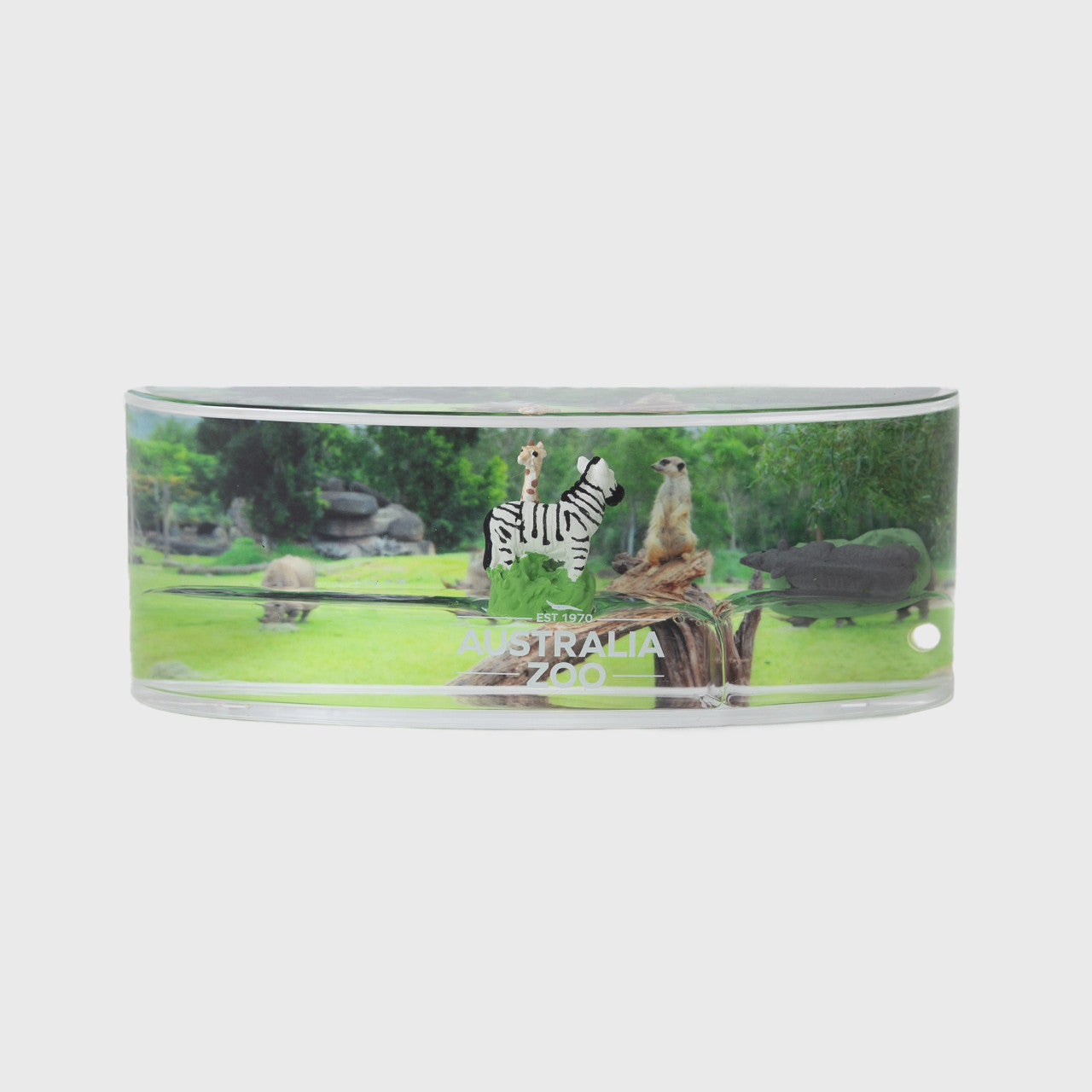 Africa Oily Curved Magnet