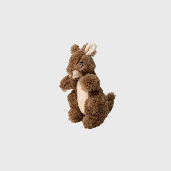Hug Ems Kangaroo
