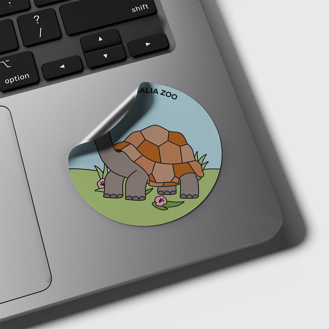 Tortoise Round Sticker