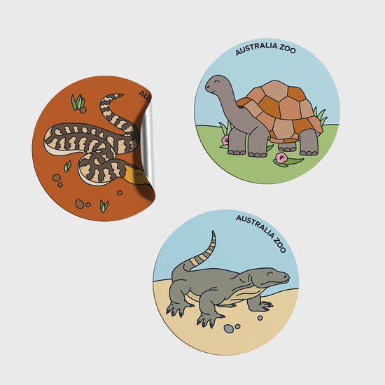 Tortoise Round Sticker