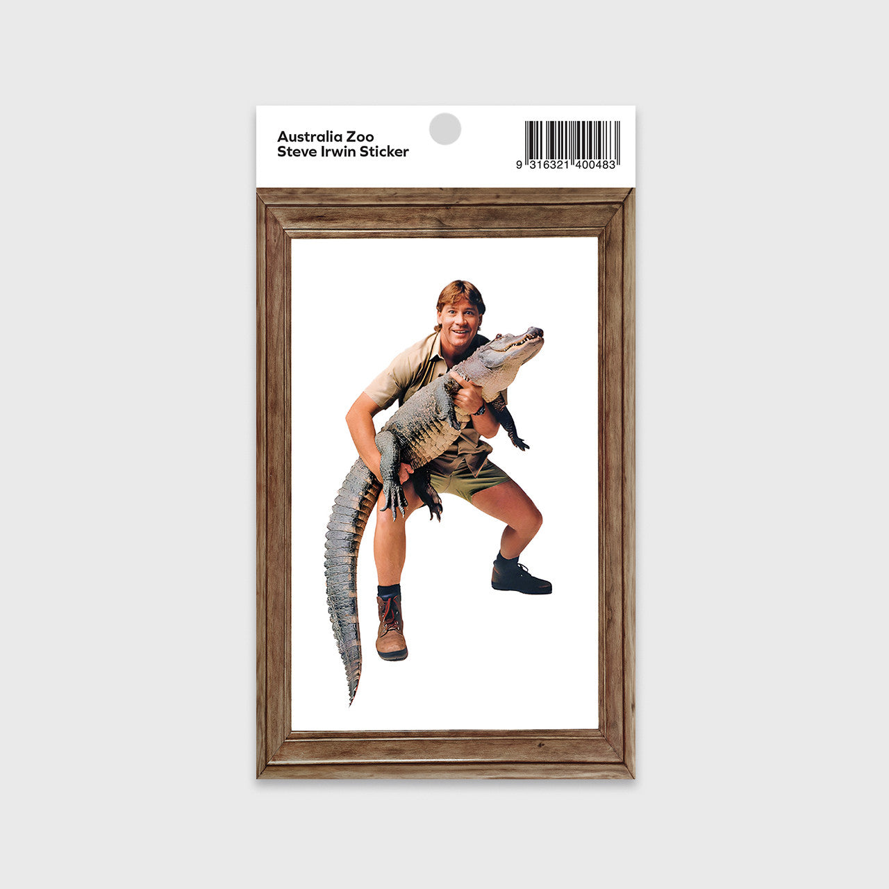 Steve In Frame Rectangle Sticker