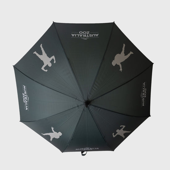Established 1970 Steve Umbrella