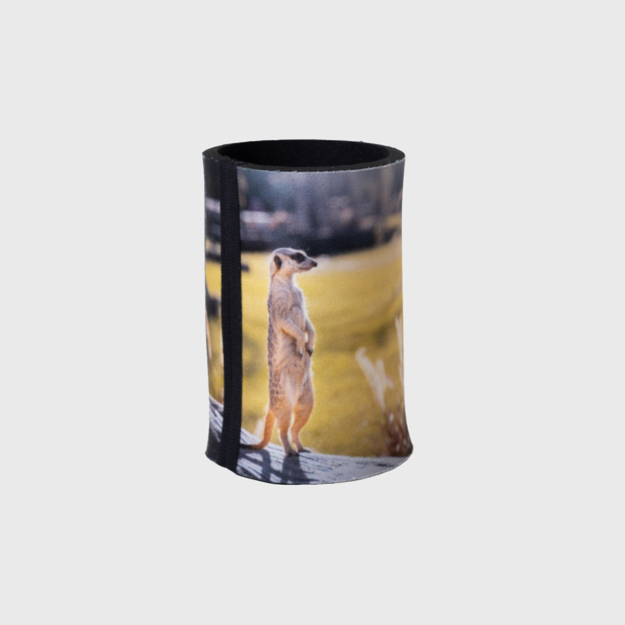 Meerkats Drink Cooler