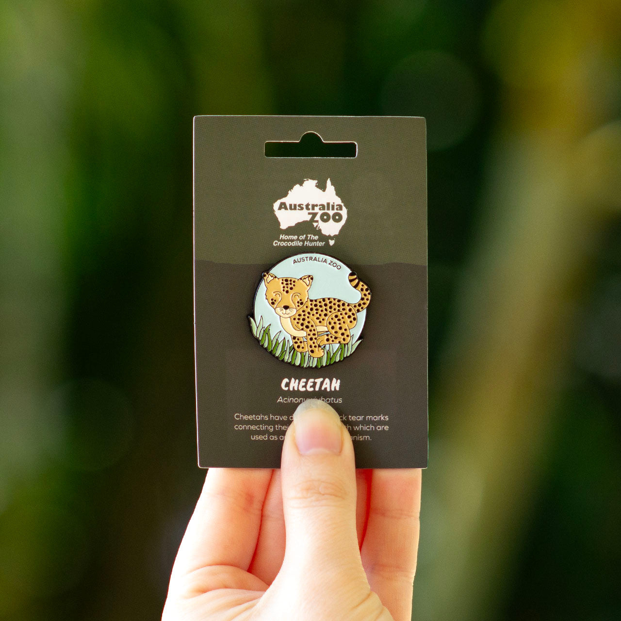 Australia Zoo Bundle Pack - Cheetah