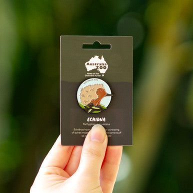 Australia Zoo Bundle Pack - Echidna