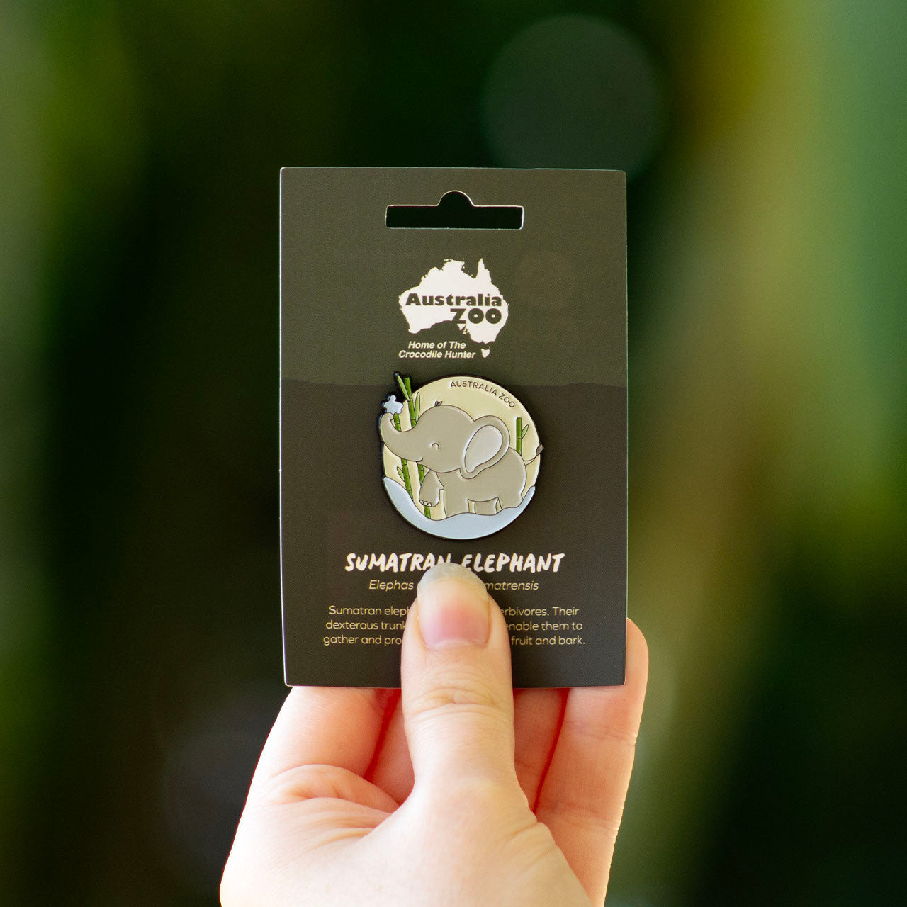 Elephant Lapel Pin