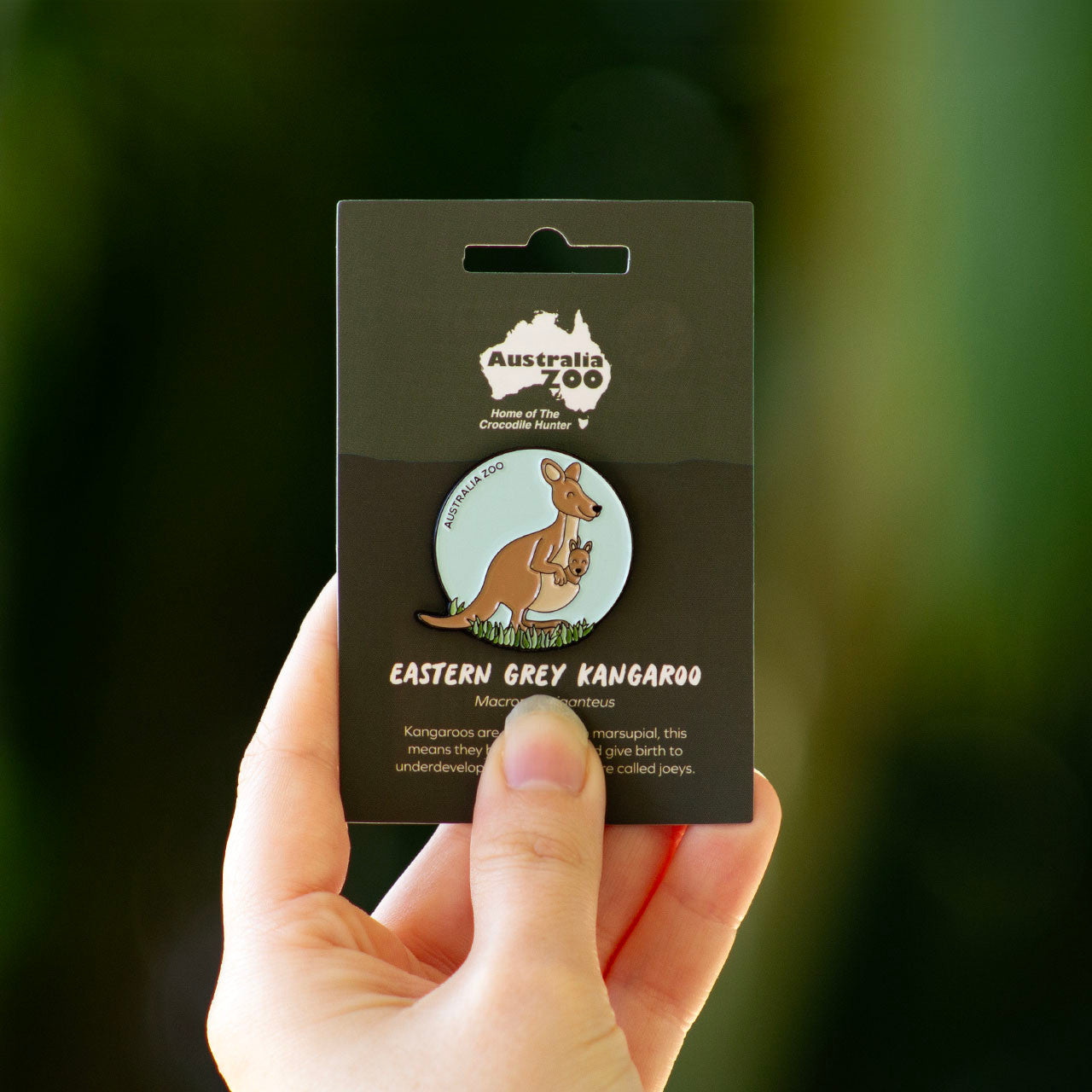 Australia Zoo Bundle Pack - Kangaroo