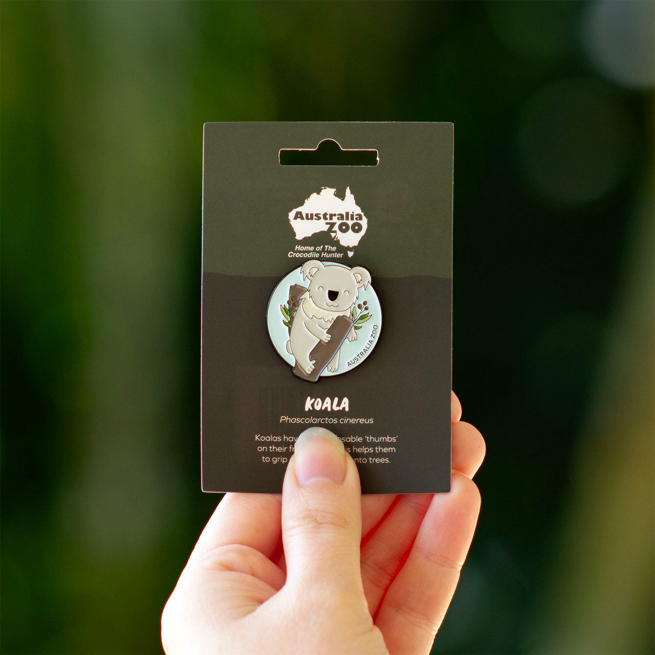 Australia Zoo Bundle Pack - Koala