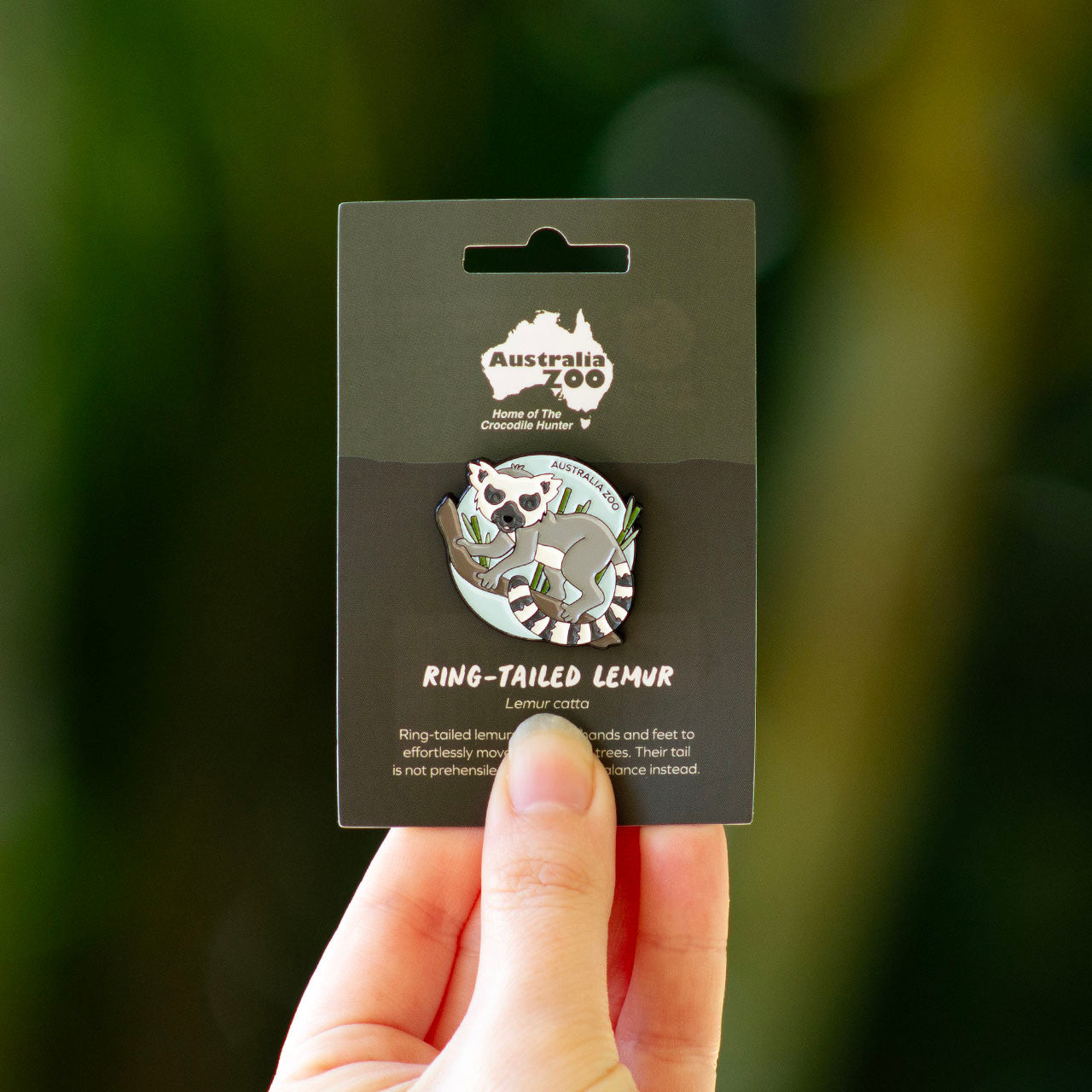 Australia Zoo Bundle Pack - Lemur