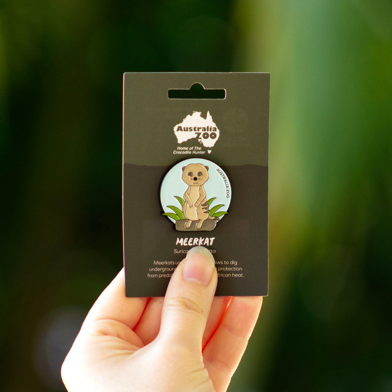 Meerkat Lapel Pin