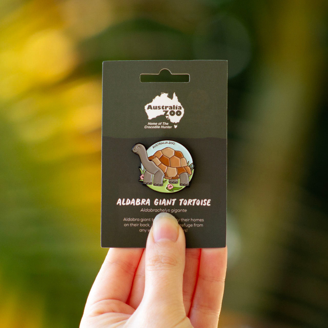 Tortoise Lapel Pin