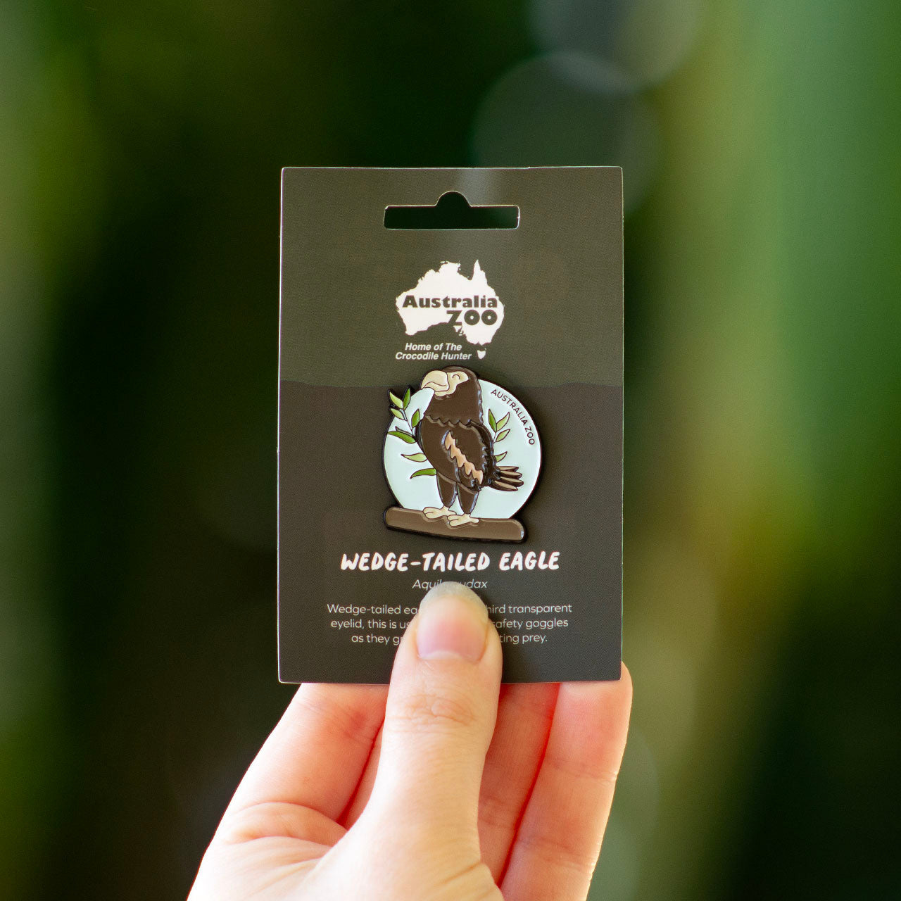 Eagle Lapel Pin