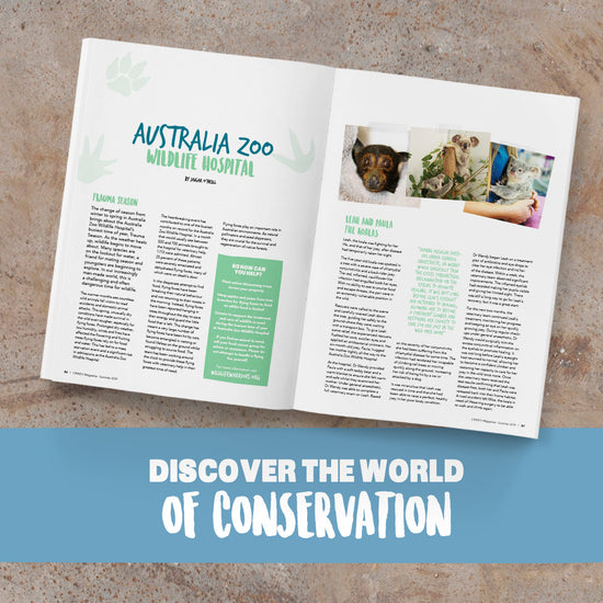 Crikey! Magazine Issue 52