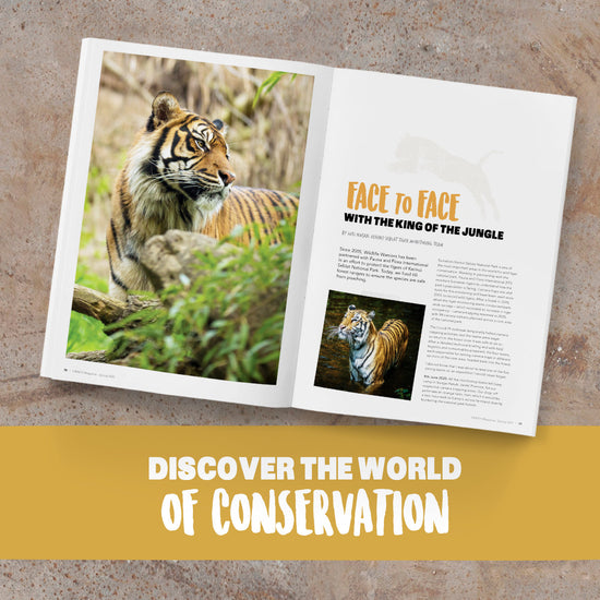 Crikey! Magazine Issue 55