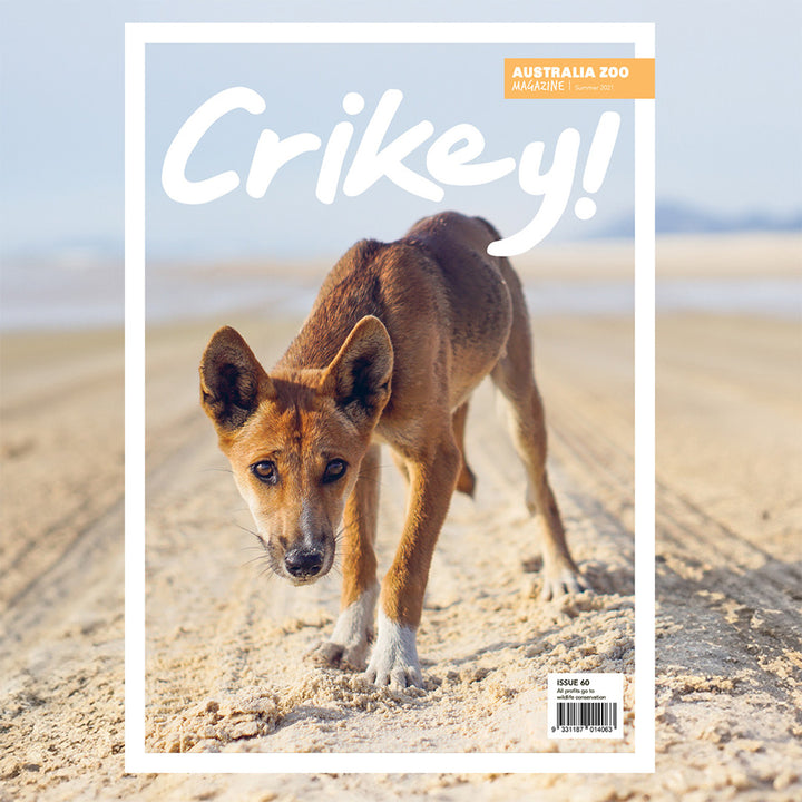Crikey! Magazine Issue 60