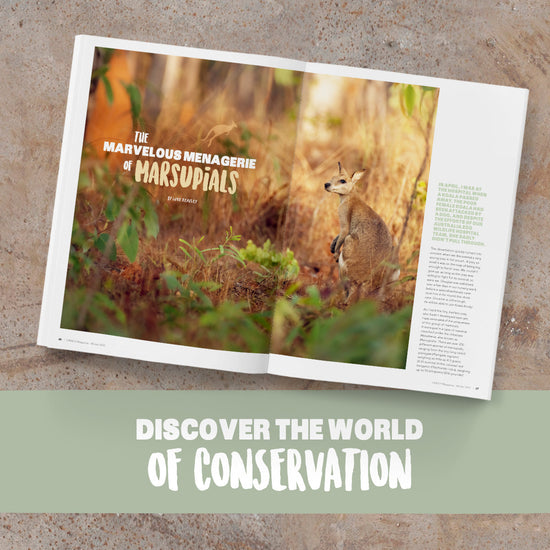 Crikey! Magazine Issue 74