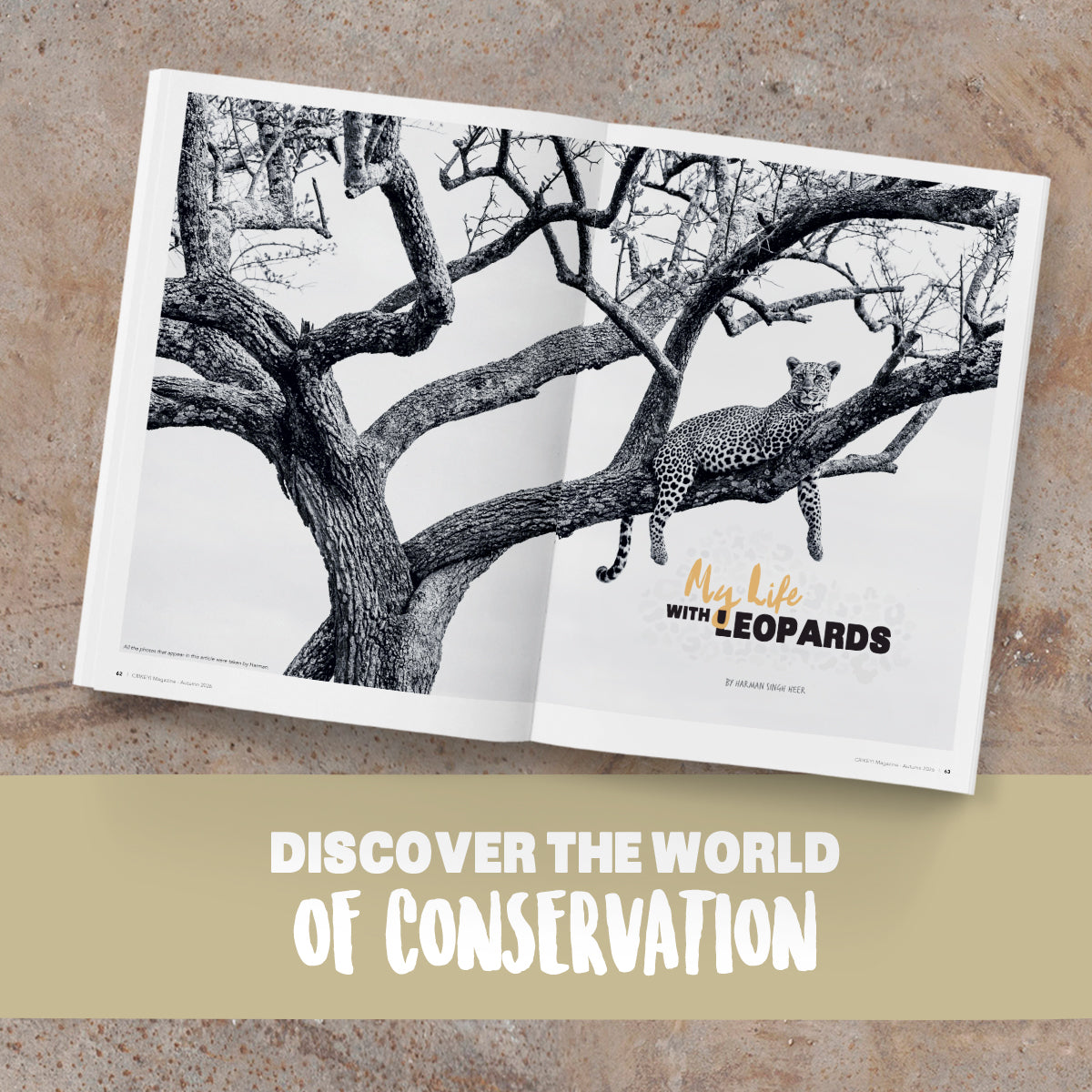 Australia Zoo Booklet with a leopard on a tree branch and text 'My Life with Leopards' on a textured surface.