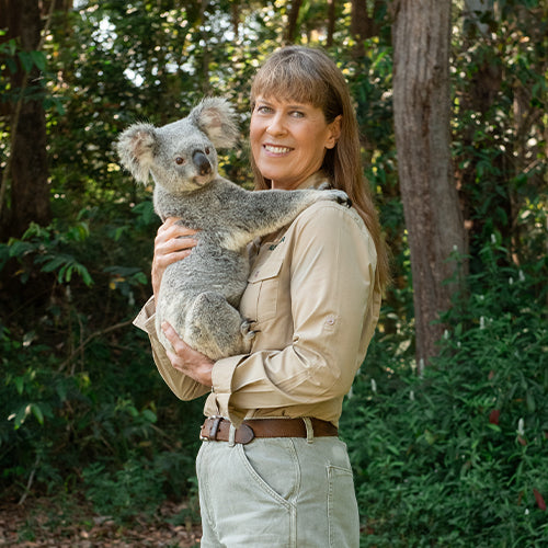 Terri Irwin holding a koala in a forest setting
