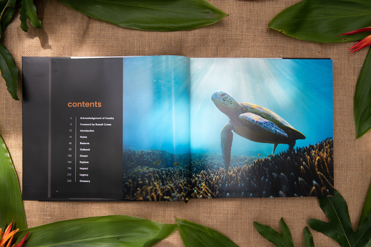 Robert Irwin Australia Book