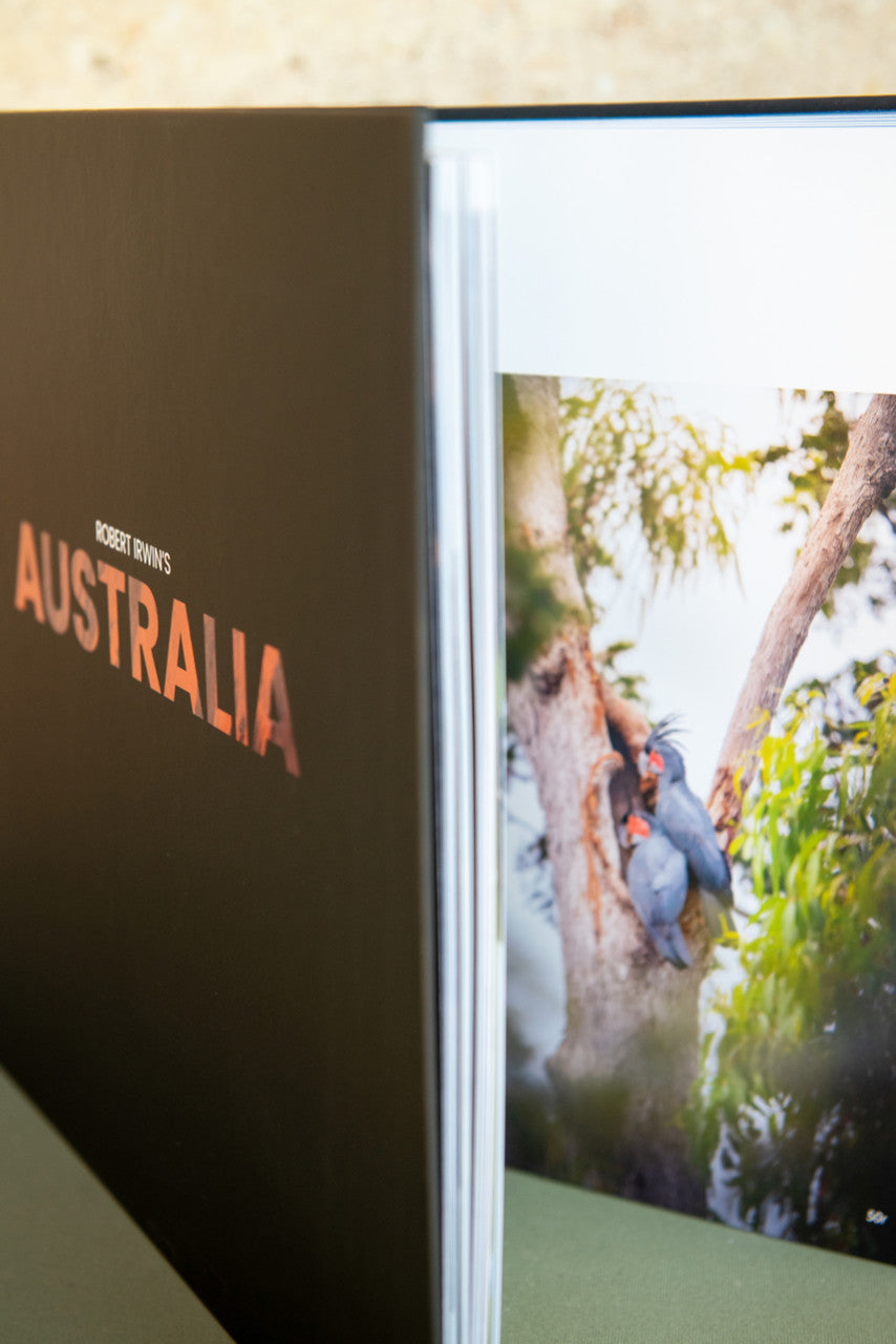 Robert Irwin Australia Book
