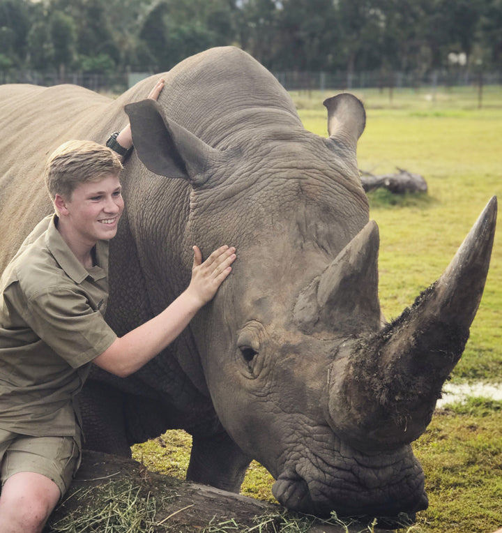 Robert Irwin Small Canvas - Kingston Rhino