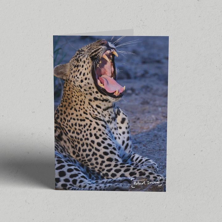 Robert Irwin Greeting Card Leopard Yawning
