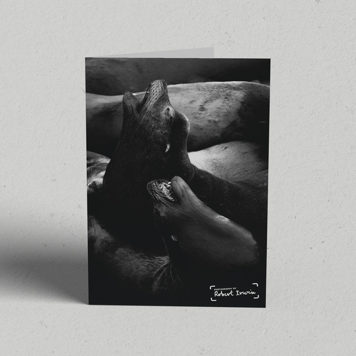 Robert Irwin Greeting Card Sea Lions