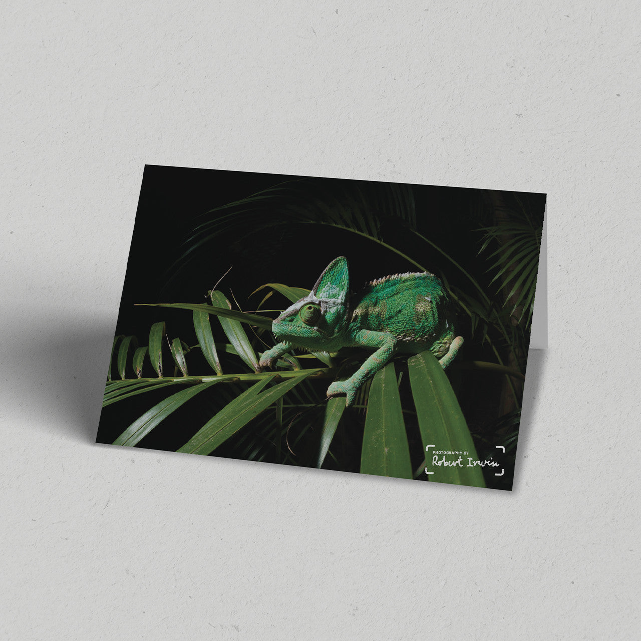 Robert Irwin Greeting Card Veiled Chameleon