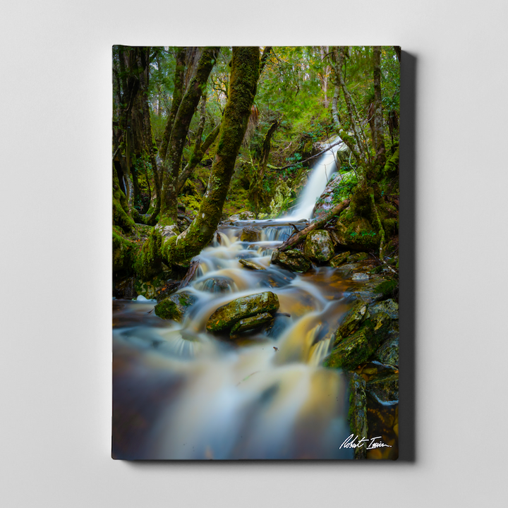 Waterfall 23GP Large Canvas