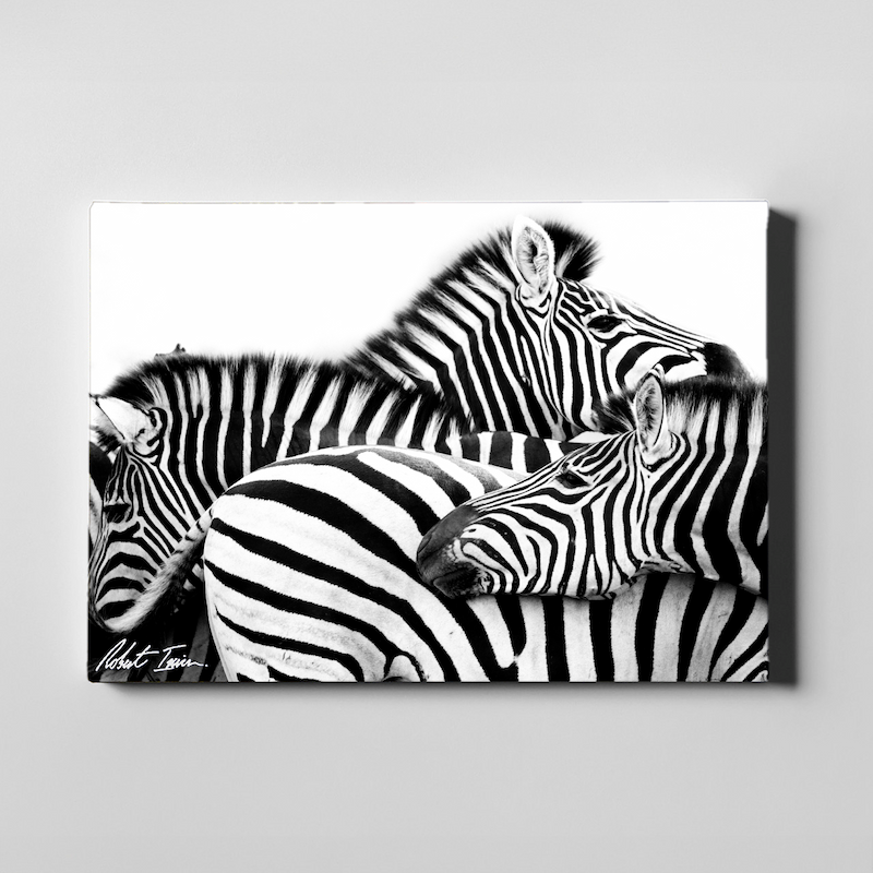 Layered Stripes 26GL Large Canvas