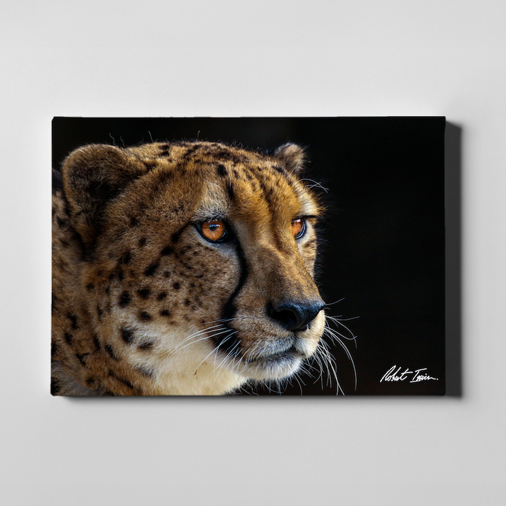 Cheeky Cheetah 30GL Large Canvas