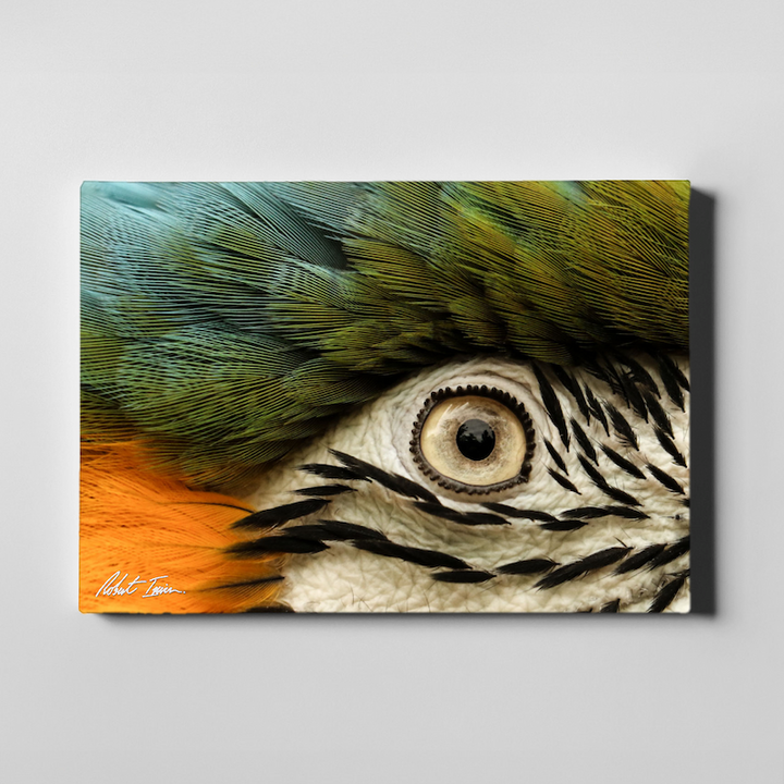 Living Rainbow 32GL Large Canvas