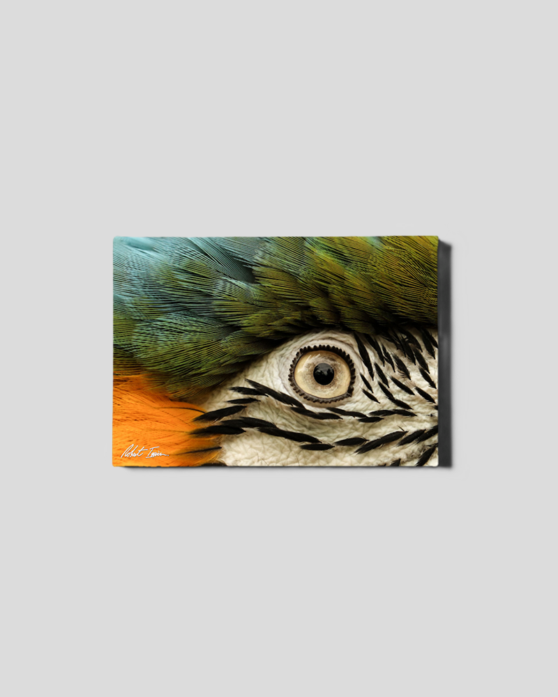 Living Rainbow 32GL Small Canvas